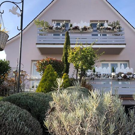 Gite Riquewihr "C'Est Beau La Vie Alsace" Kültér fotó