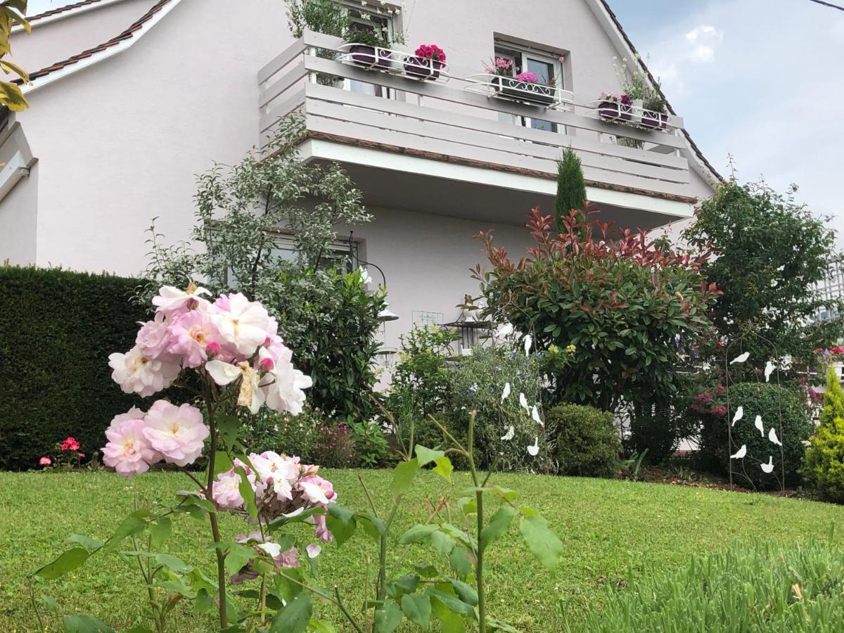 Gite Riquewihr "C'Est Beau La Vie Alsace" Kültér fotó